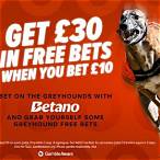 racing post greyhound bet